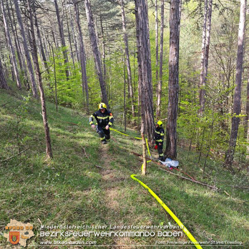 20240413 Zweite Übung der Waldbrandgruppe Abschnitt Pottenstein  Foto: Michael Zehetner / Freiwillige Feuerwehr St.Veit a.d.Triesting
