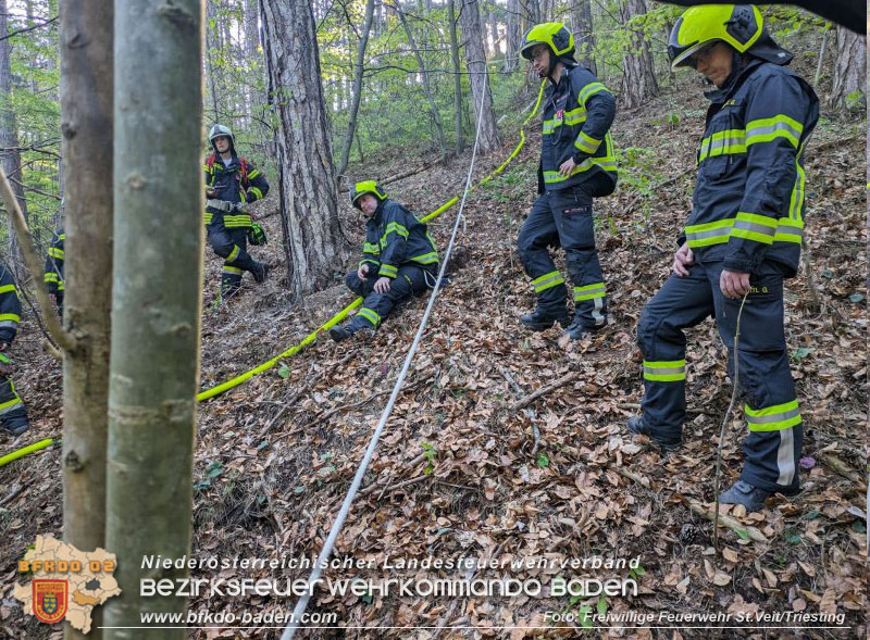 20240413 Zweite Übung der Waldbrandgruppe Abschnitt Pottenstein  Foto: Michael Zehetner / Freiwillige Feuerwehr St.Veit a.d.Triesting