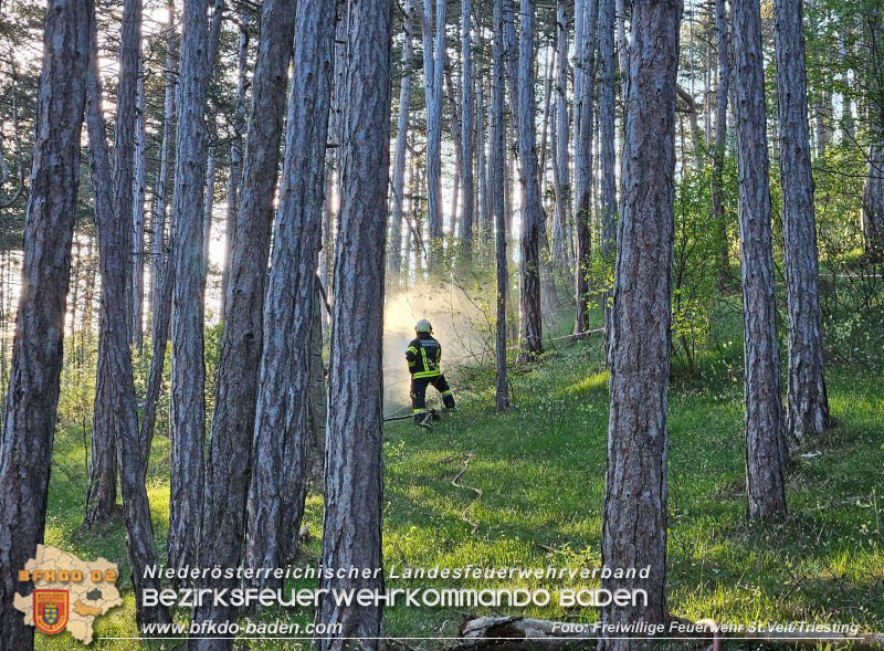 20240413 Zweite Übung der Waldbrandgruppe Abschnitt Pottenstein  Foto: Michael Zehetner / Freiwillige Feuerwehr St.Veit a.d.Triesting