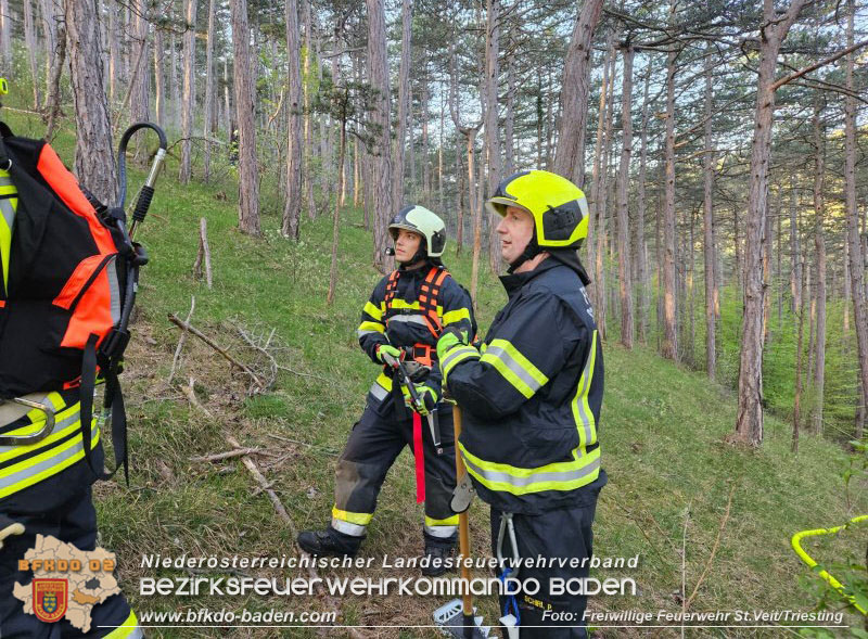 20240413 Zweite Übung der Waldbrandgruppe Abschnitt Pottenstein  Foto: Michael Zehetner / Freiwillige Feuerwehr St.Veit a.d.Triesting