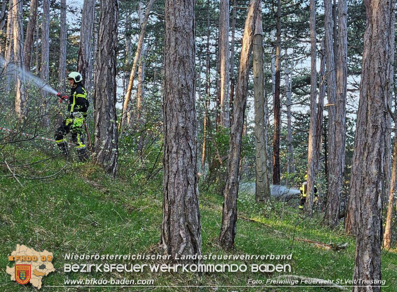 20240413 Zweite Übung der Waldbrandgruppe Abschnitt Pottenstein  Foto: Michael Zehetner / Freiwillige Feuerwehr St.Veit a.d.Triesting
