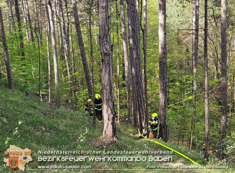 20240413 Zweite Übung der Waldbrandgruppe Abschnitt Pottenstein  Foto: Michael Zehetner / Freiwillige Feuerwehr St.Veit a.d.Triesting