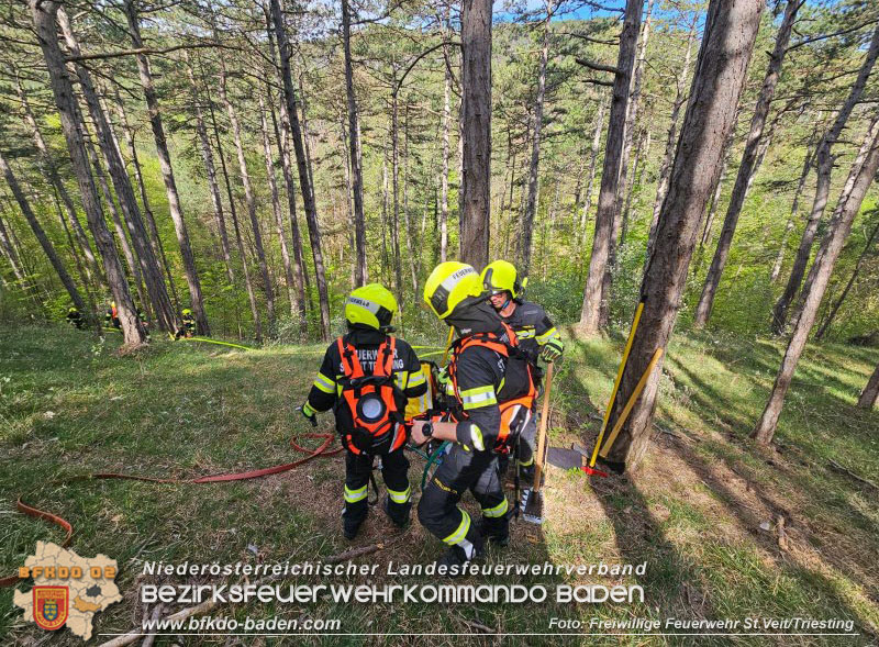 20240413 Zweite Übung der Waldbrandgruppe Abschnitt Pottenstein  Foto: Michael Zehetner / Freiwillige Feuerwehr St.Veit a.d.Triesting