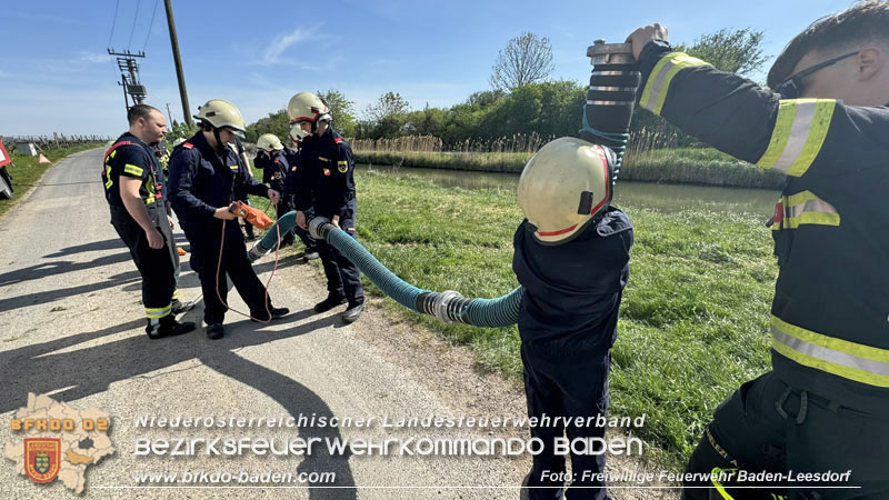 20240413-14_30 Stunden "Einsatzdienst" der Feuerwehrjugend Baden-Leesdorf  Foto: Freiwillige Feuerwehr Baden-Leesdorf