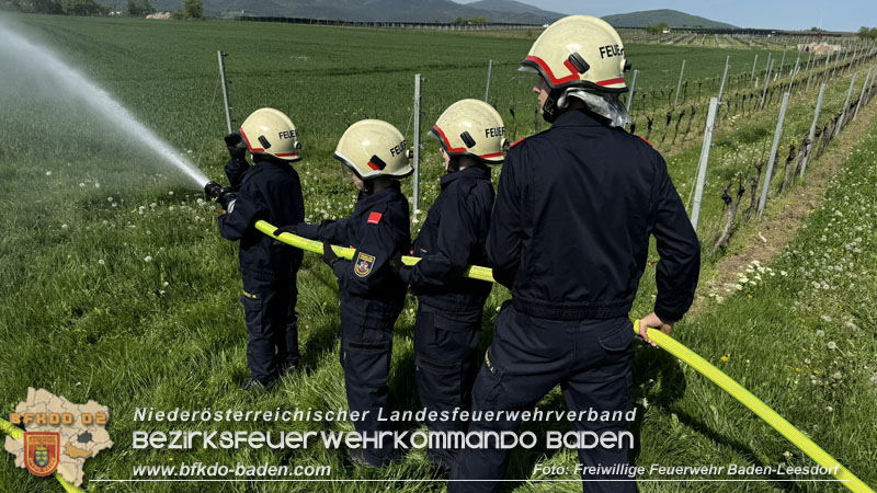 20240413-14_30 Stunden "Einsatzdienst" der Feuerwehrjugend Baden-Leesdorf  Foto: Freiwillige Feuerwehr Baden-Leesdorf