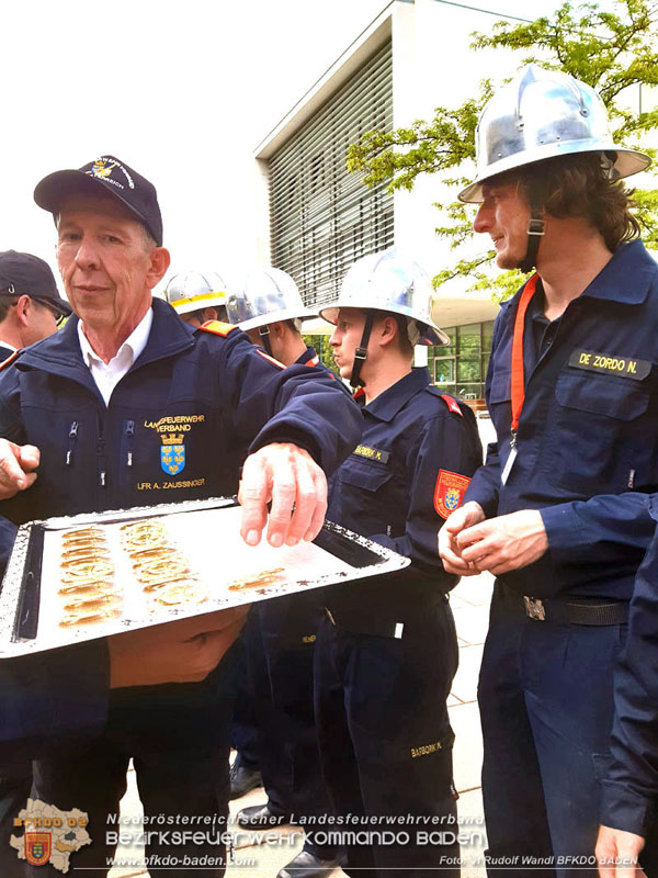 20240511_Die erfolgreichen Teilnehmer des FLA GOLD aus dem Bezirk Baden Foto: Rudolf Wandl BFKDO BADEN