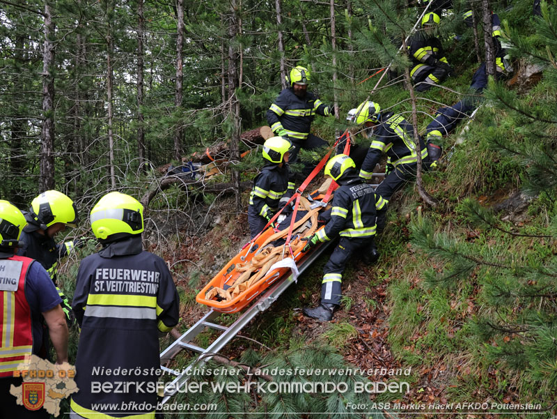 20240601 Abschnittsübung Waldbrand" 2024 in Furth-Pottenstein-Weissenbach  Foto: ASB Markus Hackl AFKDO Pottenstein