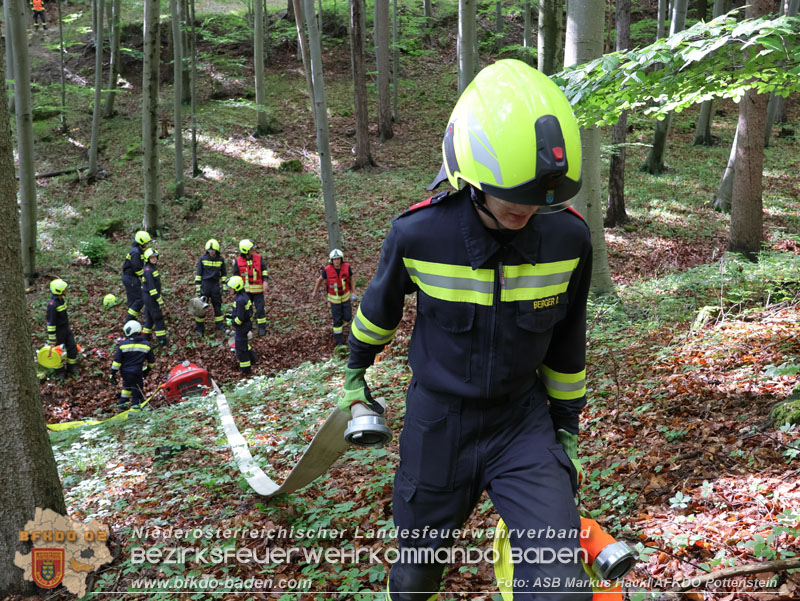 20240601 Abschnittsübung Waldbrand" 2024 in Furth-Pottenstein-Weissenbach  Foto: ASB Markus Hackl AFKDO Pottenstein