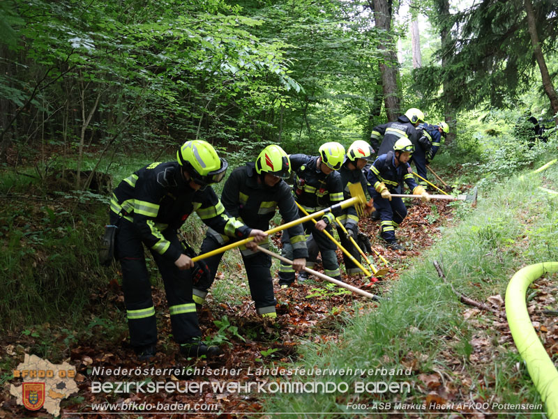 20240601 Abschnittsübung Waldbrand" 2024 in Furth-Pottenstein-Weissenbach  Foto: ASB Markus Hackl AFKDO Pottenstein