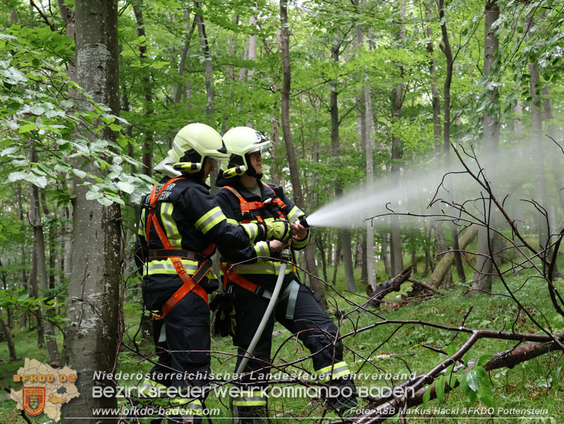 20240601 Abschnittsübung Waldbrand" 2024 in Furth-Pottenstein-Weissenbach  Foto: ASB Markus Hackl AFKDO Pottenstein
