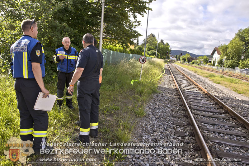 20240601 Abschnittsübung Waldbrand" 2024 in Furth-Pottenstein-Weissenbach Foto: Stefan Schneider S5/BFKDO Baden