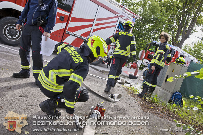 20240601 Abschnittsübung Waldbrand" 2024 in Furth-Pottenstein-Weissenbach Foto: Stefan Schneider S5/BFKDO Baden
