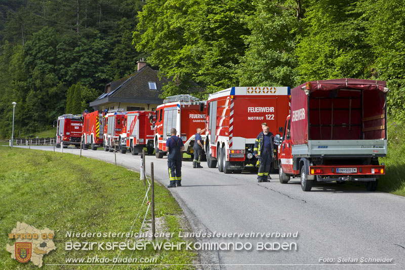 20240601 Abschnittsübung Waldbrand" 2024 in Furth-Pottenstein-Weissenbach Foto: Stefan Schneider S5/BFKDO Baden