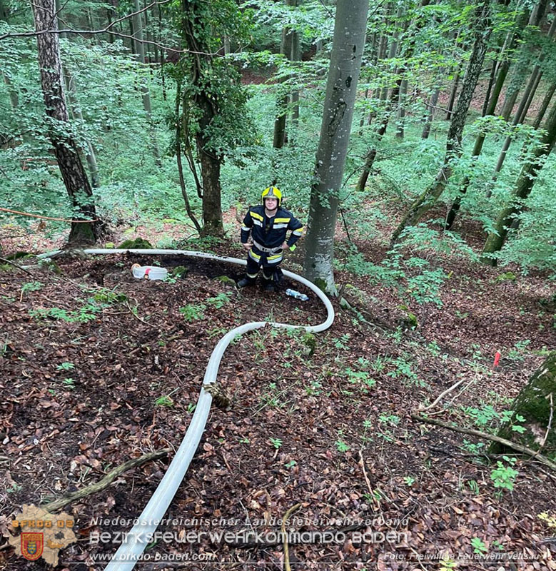 20240601 Abschnittsübung Waldbrand" 2024 in Furth-Pottenstein-Weissenbach  Foto: Freiwillige Feuerwehr Veitsau