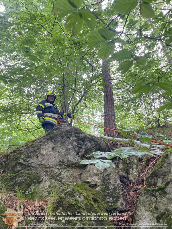 20240601 Abschnittsübung Waldbrand" 2024 in Furth-Pottenstein-Weissenbach  Foto: Freiwillige Feuerwehr Veitsau