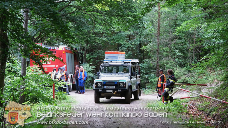 20240601 Abschnittsübung Waldbrand" 2024 in Furth-Pottenstein-Weissenbach Foto: Taxberger FF Ödlitz