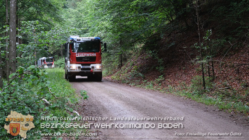 20240601 Abschnittsübung Waldbrand" 2024 in Furth-Pottenstein-Weissenbach Foto: Taxberger FF Ödlitz