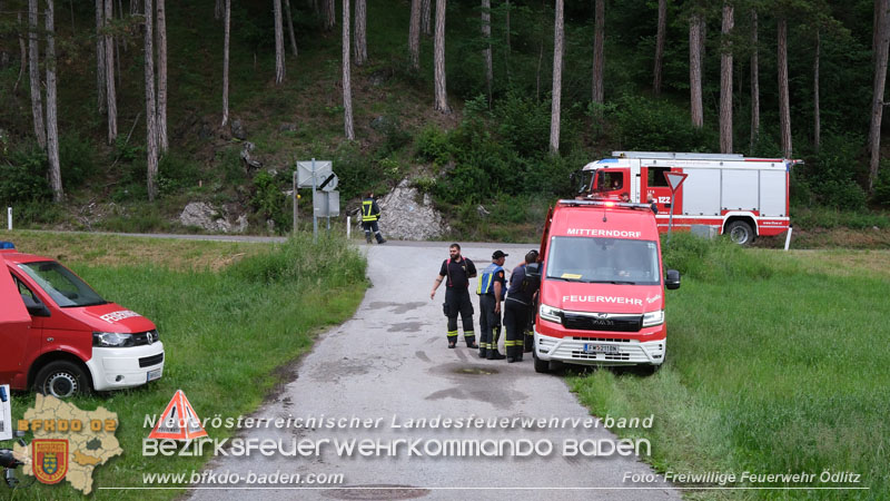 20240601 Abschnittsübung Waldbrand" 2024 in Furth-Pottenstein-Weissenbach Foto: Taxberger FF Ödlitz