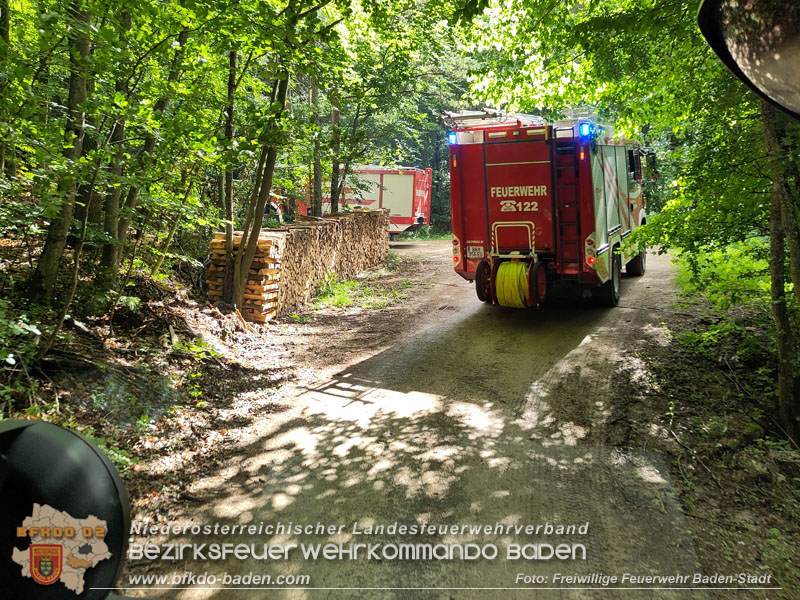 20240601 Abschnittsübung Waldbrand" 2024 in Furth-Pottenstein-Weissenbach  Foto: Fritz Beichbuchner FF Baden-Stadt