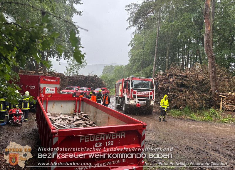 20240601 Abschnittsübung Waldbrand" 2024 in Furth-Pottenstein-Weissenbach Foto: Jürgen Rudolf Freiwillige Feuerwehr Teesdorf