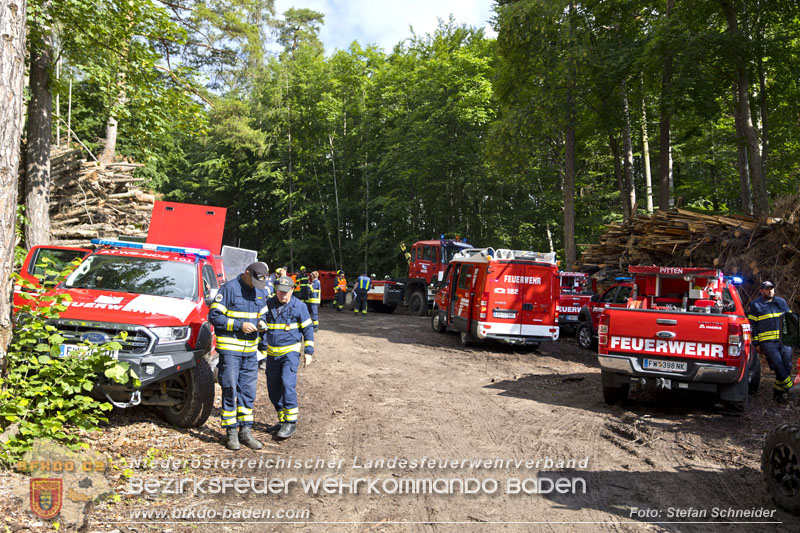 20240601 Abschnittsübung Waldbrand" 2024 in Furth-Pottenstein-Weissenbach Foto: Stefan Schneider S5/BFKDO Baden
