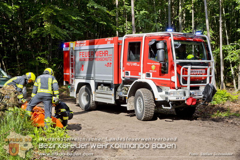 20240601 Abschnittsübung Waldbrand" 2024 in Furth-Pottenstein-Weissenbach Foto: Stefan Schneider S5/BFKDO Baden