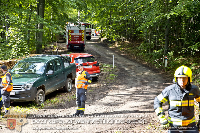 20240601 Abschnittsübung Waldbrand" 2024 in Furth-Pottenstein-Weissenbach Foto: Stefan Schneider S5/BFKDO Baden