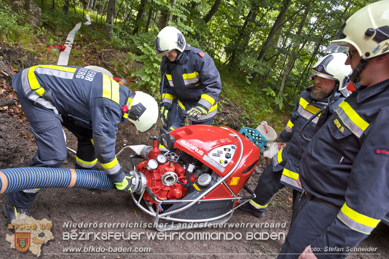 20240601 Abschnittsübung Waldbrand" 2024 in Furth-Pottenstein-Weissenbach Foto: Stefan Schneider S5/BFKDO Baden