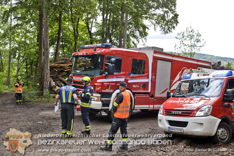 20240601 Abschnittsübung Waldbrand" 2024 in Furth-Pottenstein-Weissenbach Foto: Stefan Schneider S5/BFKDO Baden