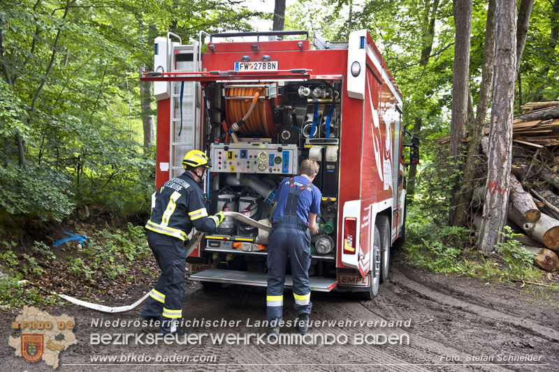 20240601 Abschnittsübung Waldbrand" 2024 in Furth-Pottenstein-Weissenbach Foto: Stefan Schneider S5/BFKDO Baden