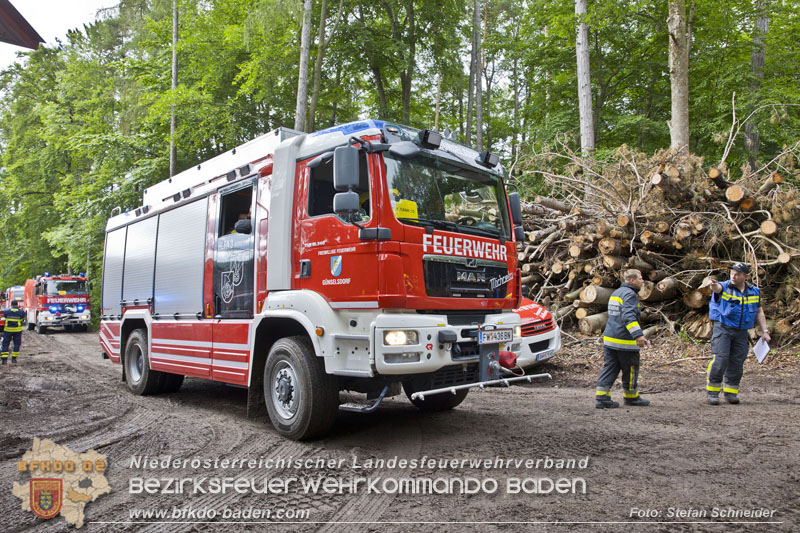20240601 Abschnittsübung Waldbrand" 2024 in Furth-Pottenstein-Weissenbach Foto: Stefan Schneider S5/BFKDO Baden