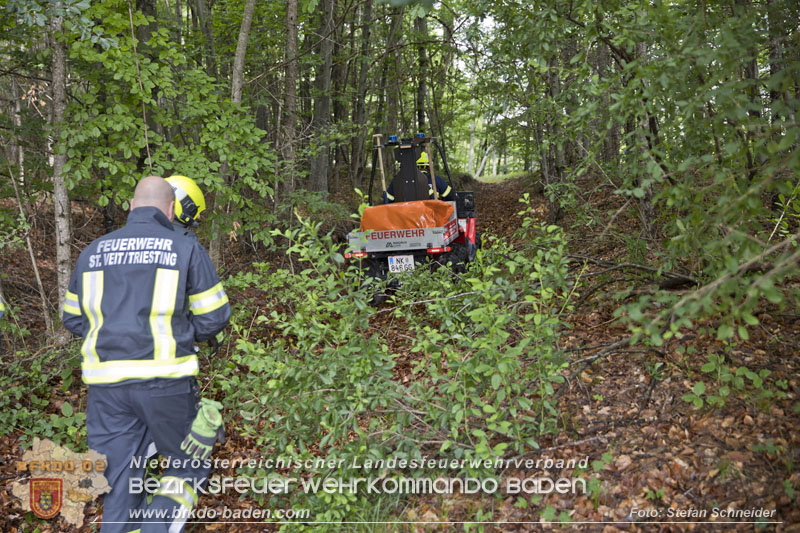 20240601 Abschnittsübung Waldbrand" 2024 in Furth-Pottenstein-Weissenbach Foto: Stefan Schneider S5/BFKDO Baden