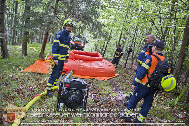 20240601 Abschnittsübung Waldbrand" 2024 in Furth-Pottenstein-Weissenbach  Foto: Stefan Schneider S5/BFKDO Baden
