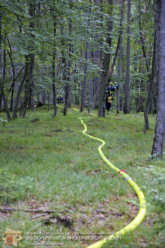 20240601 Abschnittsübung Waldbrand" 2024 in Furth-Pottenstein-Weissenbach  Foto: Stefan Schneider S5/BFKDO Baden