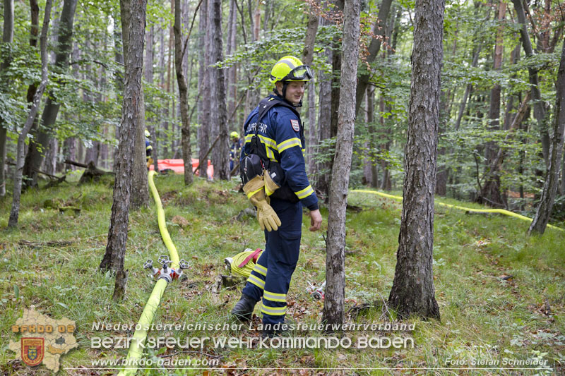 20240601 Abschnittsübung Waldbrand" 2024 in Furth-Pottenstein-Weissenbach  Foto: Stefan Schneider S5/BFKDO Baden