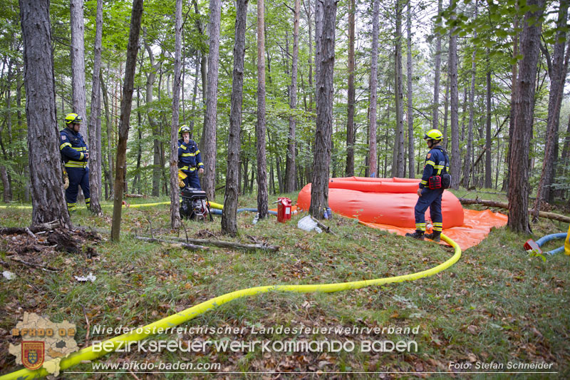 20240601 Abschnittsübung Waldbrand" 2024 in Furth-Pottenstein-Weissenbach  Foto: Stefan Schneider S5/BFKDO Baden