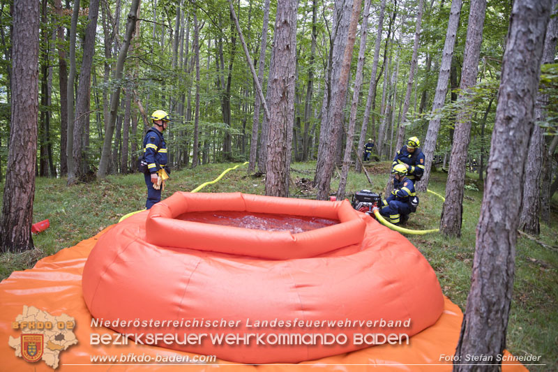 20240601 Abschnittsübung Waldbrand" 2024 in Furth-Pottenstein-Weissenbach  Foto: Stefan Schneider S5/BFKDO Baden