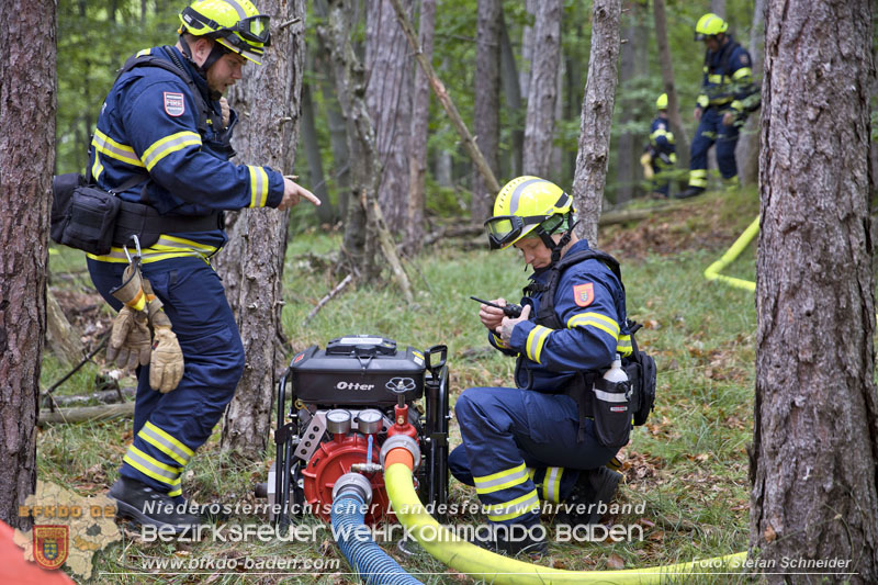 20240601 Abschnittsübung Waldbrand" 2024 in Furth-Pottenstein-Weissenbach  Foto: Stefan Schneider S5/BFKDO Baden