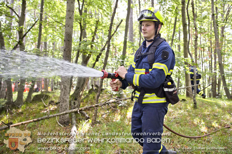 20240601 Abschnittsübung Waldbrand" 2024 in Furth-Pottenstein-Weissenbach  Foto: Stefan Schneider S5/BFKDO Baden