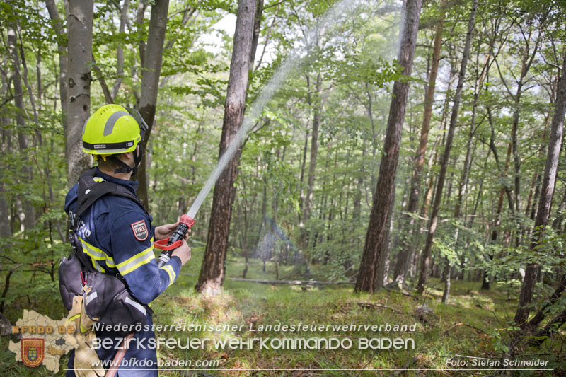 20240601 Abschnittsübung Waldbrand" 2024 in Furth-Pottenstein-Weissenbach  Foto: Stefan Schneider S5/BFKDO Baden