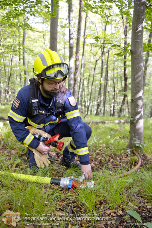 20240601 Abschnittsübung Waldbrand" 2024 in Furth-Pottenstein-Weissenbach  Foto: Stefan Schneider S5/BFKDO Baden