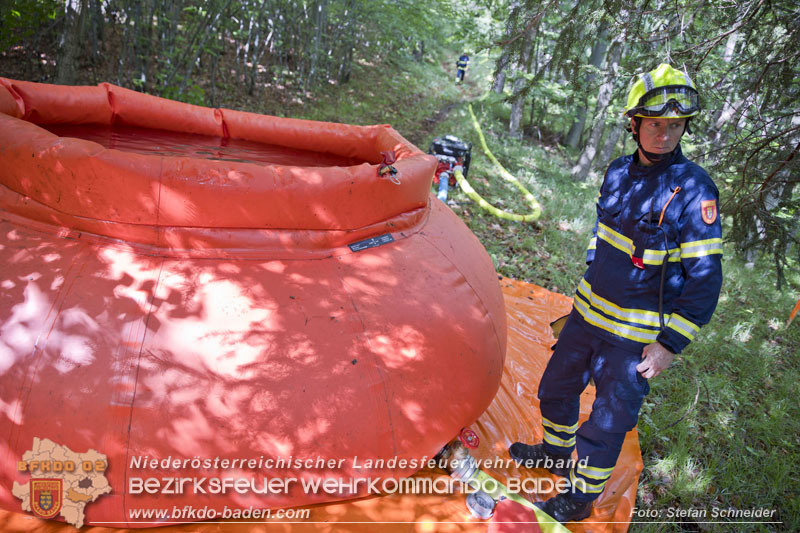 20240601 Abschnittsübung Waldbrand" 2024 in Furth-Pottenstein-Weissenbach  Foto: Stefan Schneider S5/BFKDO Baden