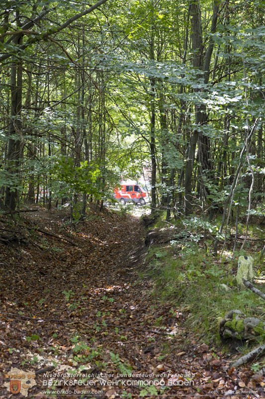 20240601 Abschnittsübung Waldbrand" 2024 in Furth-Pottenstein-Weissenbach  Foto: Stefan Schneider S5/BFKDO Baden