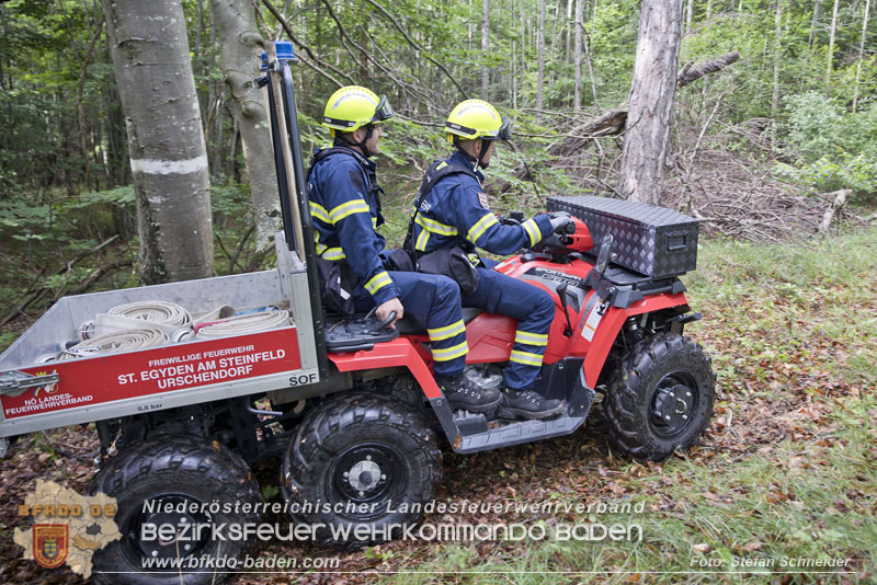 20240601 Abschnittsübung Waldbrand" 2024 in Furth-Pottenstein-Weissenbach  Foto: Stefan Schneider S5/BFKDO Baden