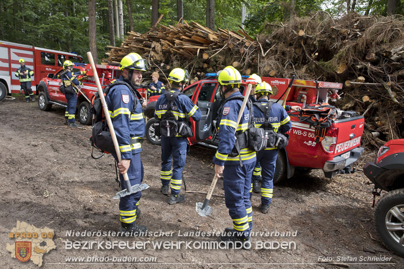 20240601 Abschnittsübung Waldbrand" 2024 in Furth-Pottenstein-Weissenbach  Foto: Stefan Schneider S5/BFKDO Baden