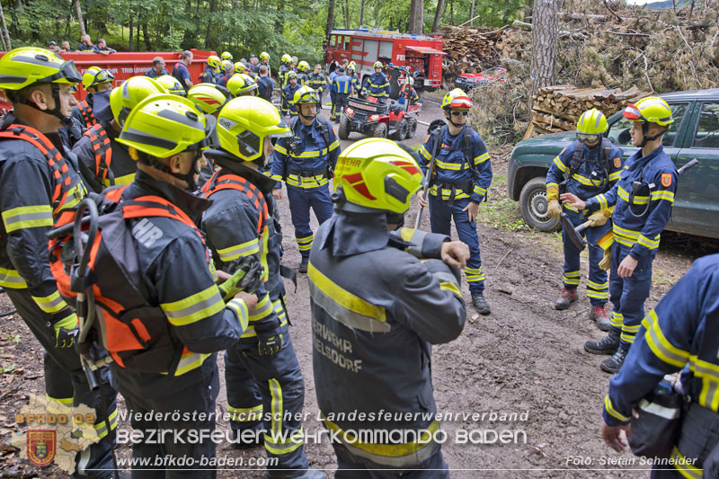 20240601 Abschnittsübung Waldbrand" 2024 in Furth-Pottenstein-Weissenbach  Foto: Stefan Schneider S5/BFKDO Baden