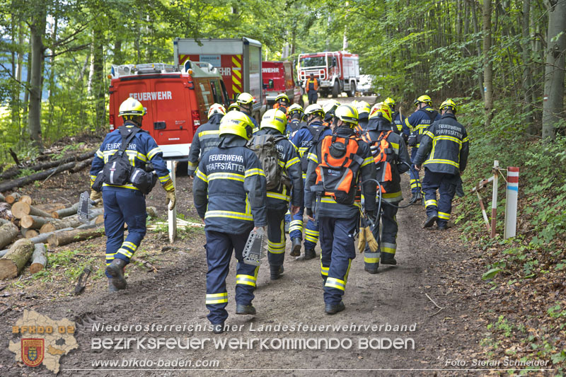 20240601 Abschnittsübung Waldbrand" 2024 in Furth-Pottenstein-Weissenbach  Foto: Stefan Schneider S5/BFKDO Baden