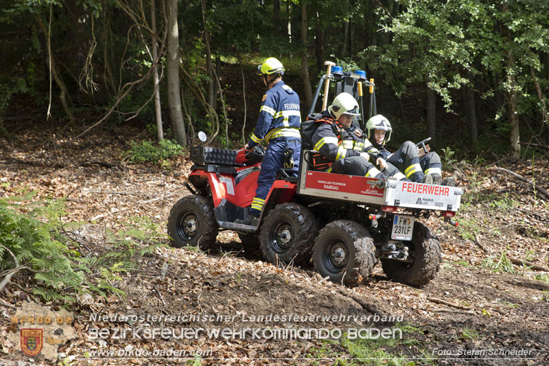 20240601 Abschnittsübung Waldbrand" 2024 in Furth-Pottenstein-Weissenbach  Foto: Stefan Schneider S5/BFKDO Baden