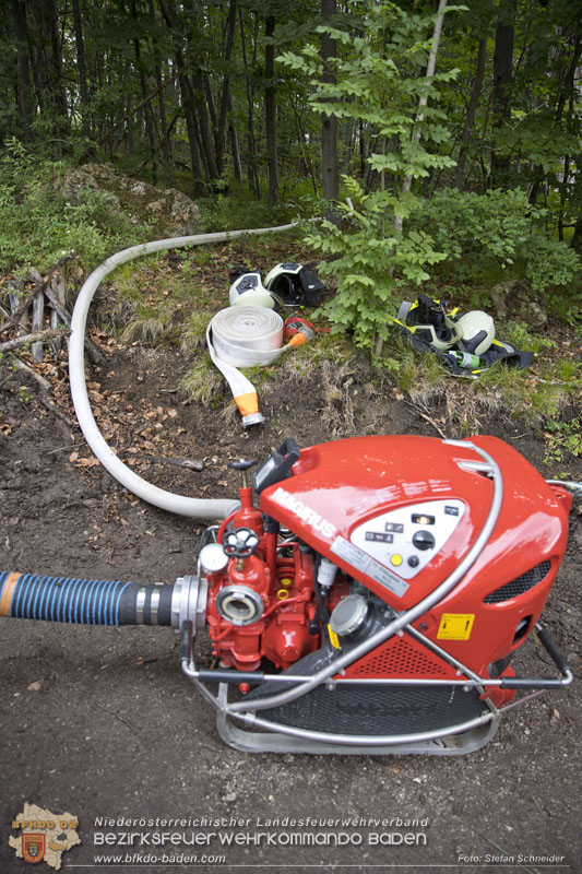 20240601 Abschnittsübung Waldbrand" 2024 in Furth-Pottenstein-Weissenbach  Foto: Stefan Schneider S5/BFKDO Baden