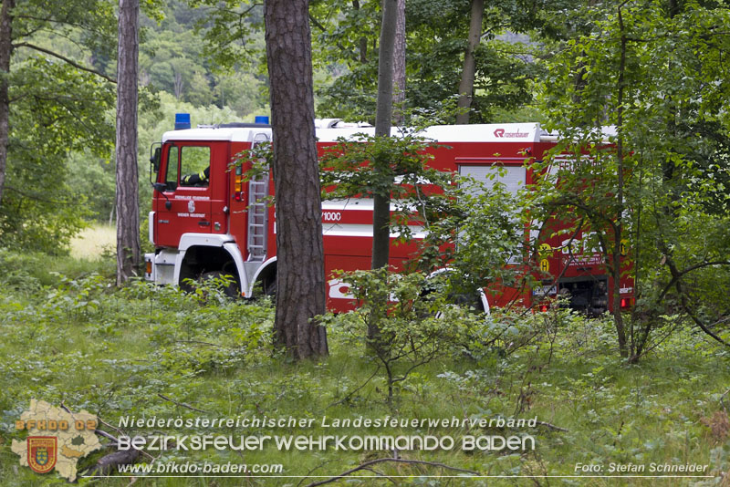 20240601 Abschnittsübung Waldbrand" 2024 in Furth-Pottenstein-Weissenbach Foto: Stefan Schneider S5/BFKDO Baden
